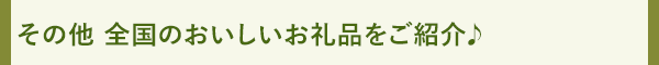 その他 全国のおいしいお礼品をご紹介♪