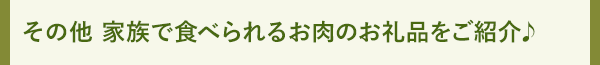 その他 家族で食べられるお肉のお礼品をご紹介♪