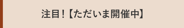 ２．注目！【ただいま開催中！】