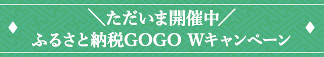 ＼ただいま開催中／ふるさと納税GOGO Wキャンペーン