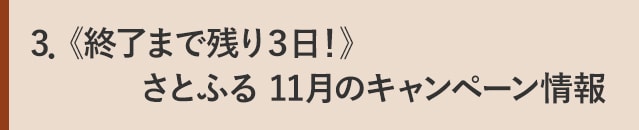 ３．《終了まで残り３日！》さとふる 11月のキャンペーン情報