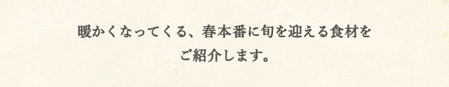暖かくなってくる、春本番に旬を迎える食材をご紹介します。