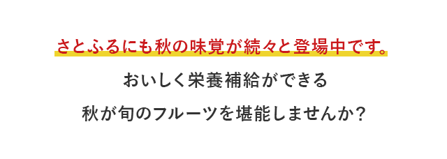 さとふるにも秋の味覚が続々と登場中です。おいしく栄養補給ができる秋が旬のフルーツを堪能しませんか？