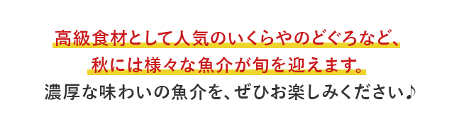 高級食材として人気のいくらやのどぐろなど、秋には様々な魚介が旬を迎えます。濃厚な味わいの魚介を、ぜひお楽しみください♪