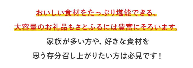 おいしい食材をたっぷり堪能できる、大容量のお礼品もさとふるには豊富にそろいます。家族が多い方や、好きな食材を思う存分召し上がりたい方は必見です！