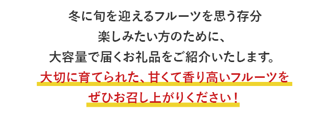 冬に旬を迎えるフルーツを思う存分楽しみたい方のために、大容量で届くお礼品をご紹介いたします。大切に育てられた、甘くて香り高いフルーツをぜひお召し上がりください！