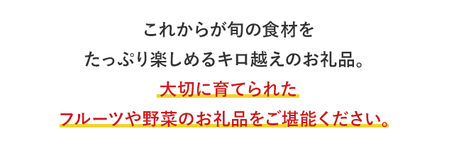 これからが旬の食材をたっぷり楽しめるキロ越えのお礼品。大切に育てられたフルーツや野菜のお礼品をご堪能ください。