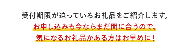 受付期限が迫っているお礼品をご紹介します。お申し込みも今ならまだ間に合うので、気になるお礼品がある方はお早めに！