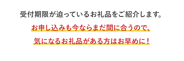 受付期限が迫っているお礼品をご紹介します。お申し込みも今ならまだ間に合うので、気になるお礼品がある方はお早めに！