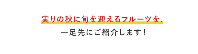 実りの秋に旬を迎えるフルーツを、一足先にご紹介します！