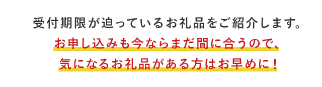 受付期限が迫っているお礼品をご紹介します。お申し込みも今ならまだ間に合うので、気になるお礼品がある方はお早めに！