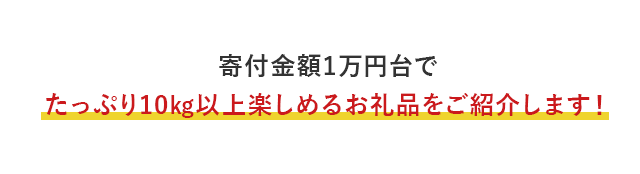 寄付金額1万円台でたっぷり10kg以上楽しめるお礼品をご紹介します！