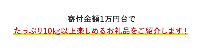 寄付金額1万円台でたっぷり10kg以上楽しめるお礼品をご紹介します！
