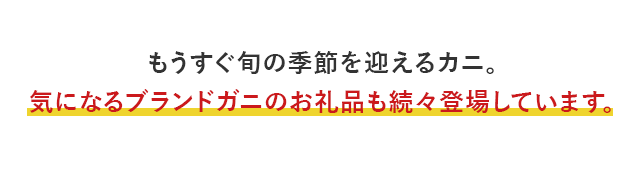 もうすぐ旬の季節を迎えるカニ。気になるブランドガニのお礼品も続々登場しています。