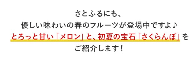 さとふるにも、優しい味わいの春のフルーツが登場中ですよ♪とろっと甘い「メロン」と、初夏の宝石「さくらんぼ」をご紹介します！