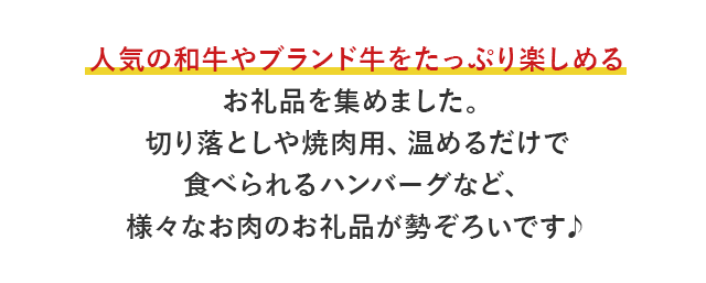 人気の和牛やブランド牛をたっぷり楽しめるお礼品を集めました。切り落としや焼肉用、温めるだけで食べられるハンバーグなど、様々なお肉のお礼品が勢ぞろいです♪