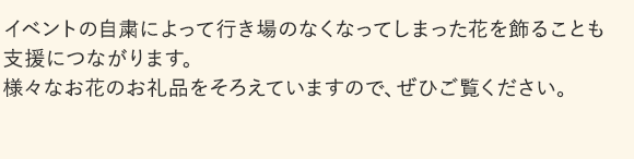 イベントの自粛によって行き場のなくなってしまった花を飾ることも支援につながります。様々なお花のお礼品をそろえていますので、ぜひご覧ください。
