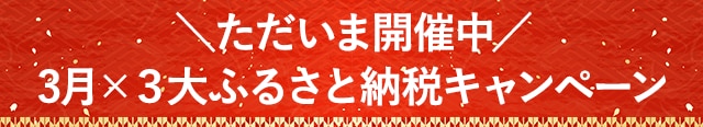 ＼ただいま開催中！／3月×3大ふるさと納税キャンペーン