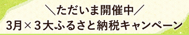 ＼ただいま開催中／3月3大ふるさと納税キャンペーン