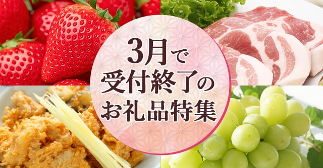 3月で受付終了のお礼品特集