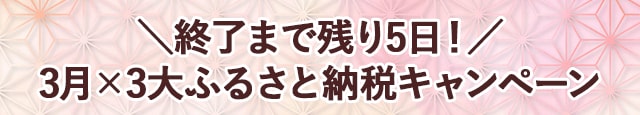 ＼終了まで残り５日／3月×3大ふるさと納税キャンペーン