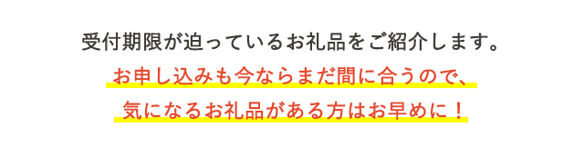 受付期限が迫っているお礼品をご紹介します。お申し込みも今ならまだ間に合うので、気になるお礼品がある方はお早めに！