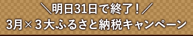 ＼明日31日で終了！／3月×3大ふるさと納税キャンペーン