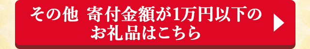 その他 寄付金額が1万円以下のお礼品はこちら