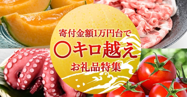 寄付金額1万円台でキロ越えお礼品特集
