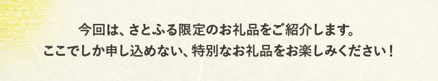 今回は、さとふる限定のお礼品をご紹介します。ここでしか申し込めない、特別なお礼品をお楽しみください！