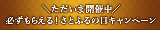 ＼ただいま開催中／必ずもらえる！さとふるの日キャンペーン