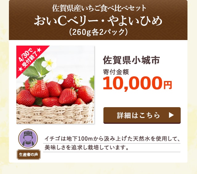 ★4/30で受付終了★「佐賀県産いちご食べ比べセット【おいCベリー】【やよいひめ】」(260g各2パック)/佐賀県小城市（寄付金額 10,000円）