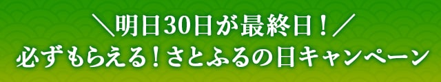 ＼明日30日が最終日！／必ずもらえる！さとふるの日キャンペーン