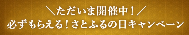 ＼ただいま開催中！／必ずもらえる！さとふるの日キャンペーン