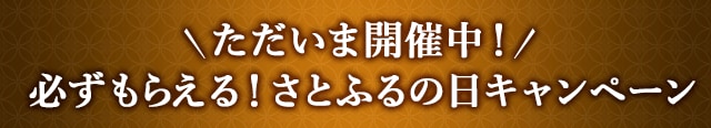 ＼ただいま開催中！／必ずもらえる！さとふるの日キャンペーン