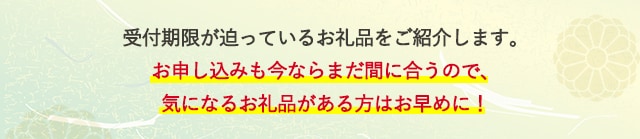 受付期限が迫っているお礼品をご紹介します。お申し込みも今ならまだ間に合うので、気になるお礼品がある方はお早めに！