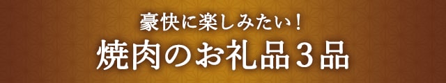 豪快に楽しみたい！焼肉のお礼品３品