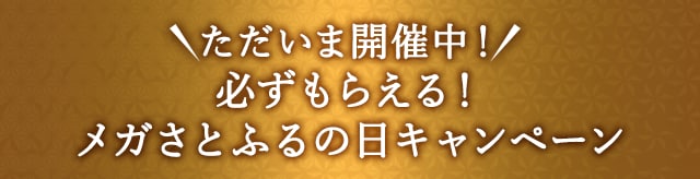 ＼ただいま開催中！／必ずもらえる！メガさとふるの日キャンペーン