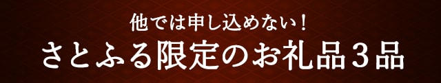 他では申し込めない！さとふる限定のお礼品３品