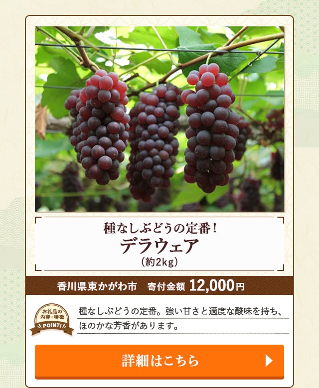 「種なしぶどうの定番！『デラウェア』」(約2kg)/香川県東かがわ市（寄付金額 12,000円）
