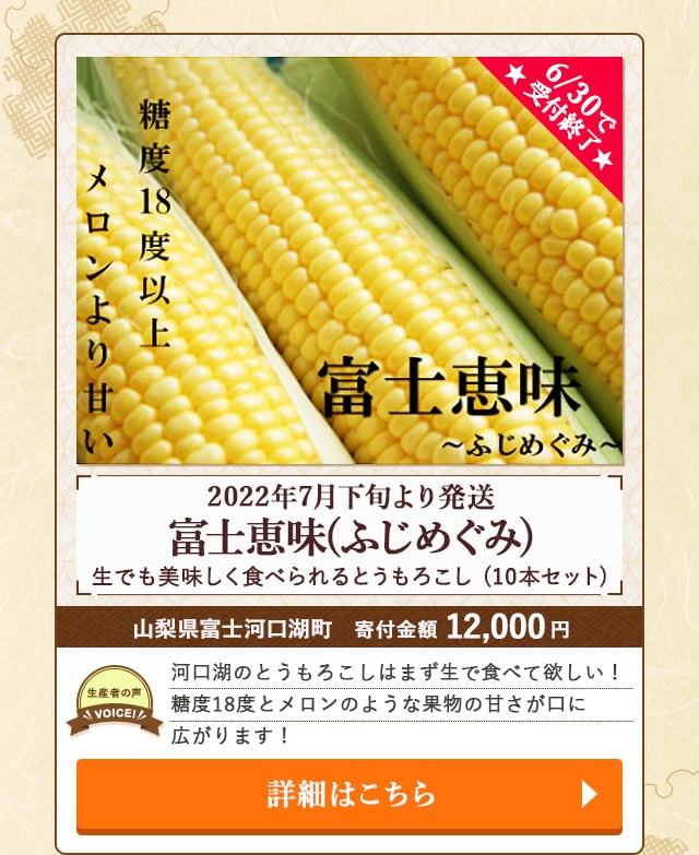 ★6/30で受付終了★「【2022年7月下旬より発送】生でも美味しく食べられるとうもろこし富士恵味(ふじめぐみ)」(10本セット)/山梨県富士河口湖町（寄付金額 12,000円）