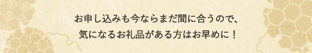お申し込みも今ならまだ間に合うので、気になるお礼品がある方はお早めに！