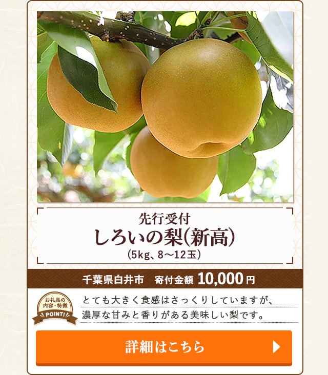 「【先行受付】しろいの梨(新高)」(5kg、8〜12玉)/千葉県白井市（寄付金額 10,000円）