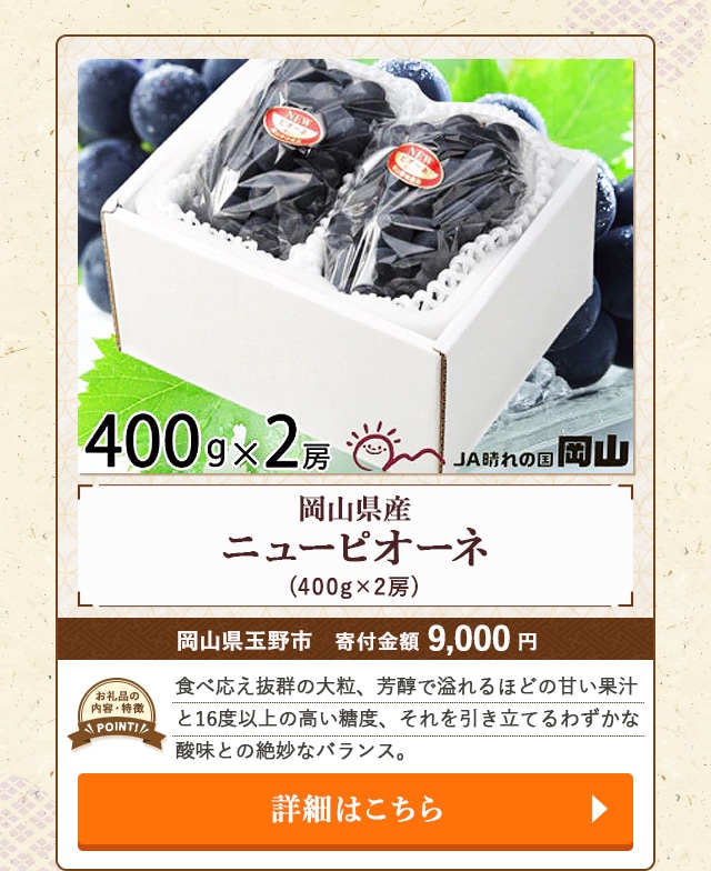「岡山県産 ニューピオーネ」(400g×2房)/岡山県玉野市（寄付金額 9,000円）
