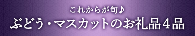 【これからが旬♪】ぶどう・マスカットのお礼品４品