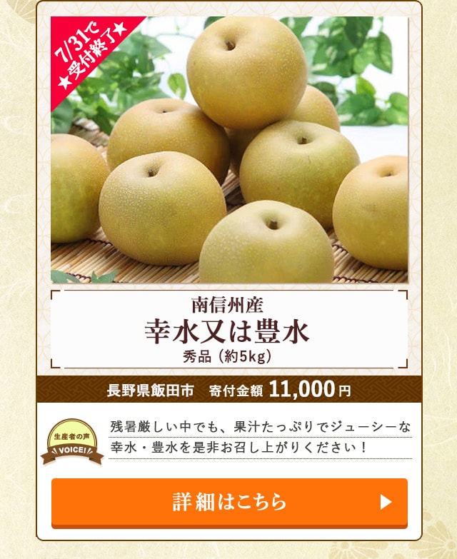 ★7/31で受付終了★「【南信州産】幸水又は豊水 秀品」(約5kg)/長野県飯田市（寄付金額 11,000円）