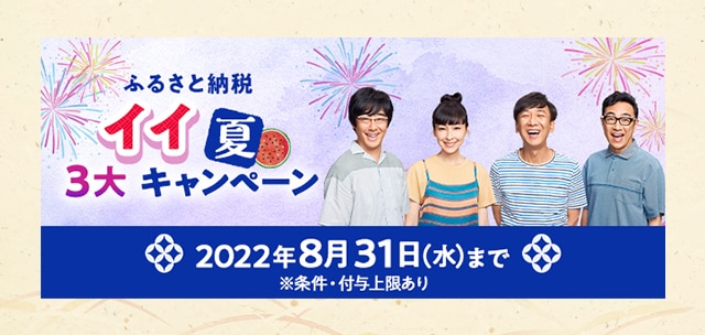 ふるさと納税＼イイ夏／３大キャンペーン★合計で最大＼11%／のPayPayポイントがもらえるキャンペーン