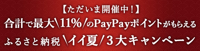 ＼だたいま開催中！／ふるさと納税＼イイ夏／３大キャンペーン★合計で最大＼11%／のPayPayポイントがもらえるキャンペーン