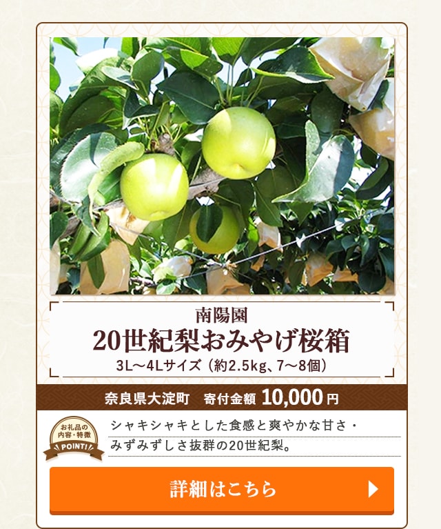 「【南陽園】20世紀梨おみやげ桜箱 3L～4Lサイズ」(約2.5kg、7～8個)/奈良県大淀町（寄付金額 10,000円）