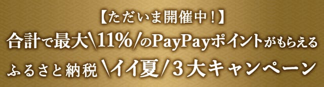 ＼ただいま開催中！／ふるさと納税＼イイ夏／３大キャンペーン★合計で最大＼11%／のPayポイントがもらえるキャンペーン